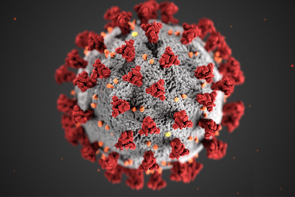 An image of the coronavirus.