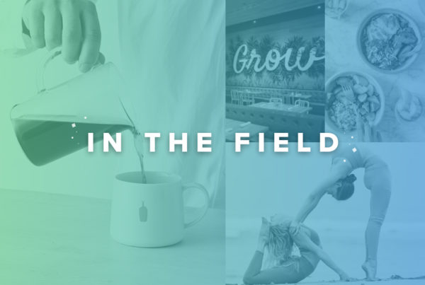 Wisetail's weekly In the Field blog post highlights their clients Blue Bottle, True Food Kitchen, Dig, and Alo yoga.