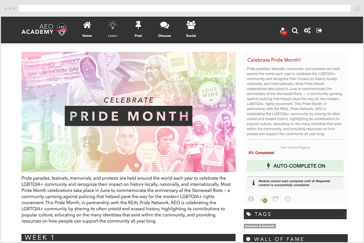 American Eagle's LXP, AEO Academy's Pride Month page. Large image at top with a rainbow overlay of many historically relevant LGBT icons.
