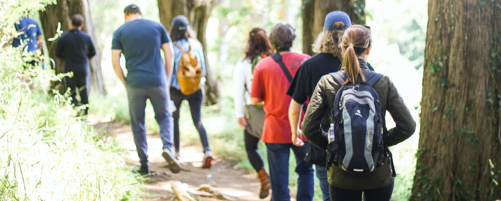 Photo: A group of people walking down a path in the woods on a sunny hike.