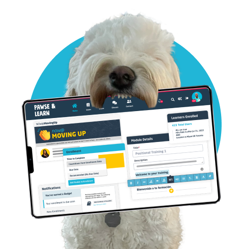 Training that's a treat White dog with an ipad in its mouth showing screenshot of Wisetail LMS