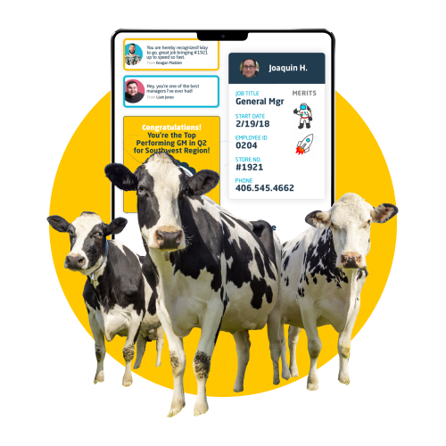 Rally your herd Three cows standing in front of an ipad showing a screenshot of Wisetail LMS