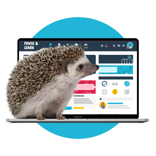 Central nest Hedgehog sitting on a laptop with a screenshot fo Wisetail LMS
